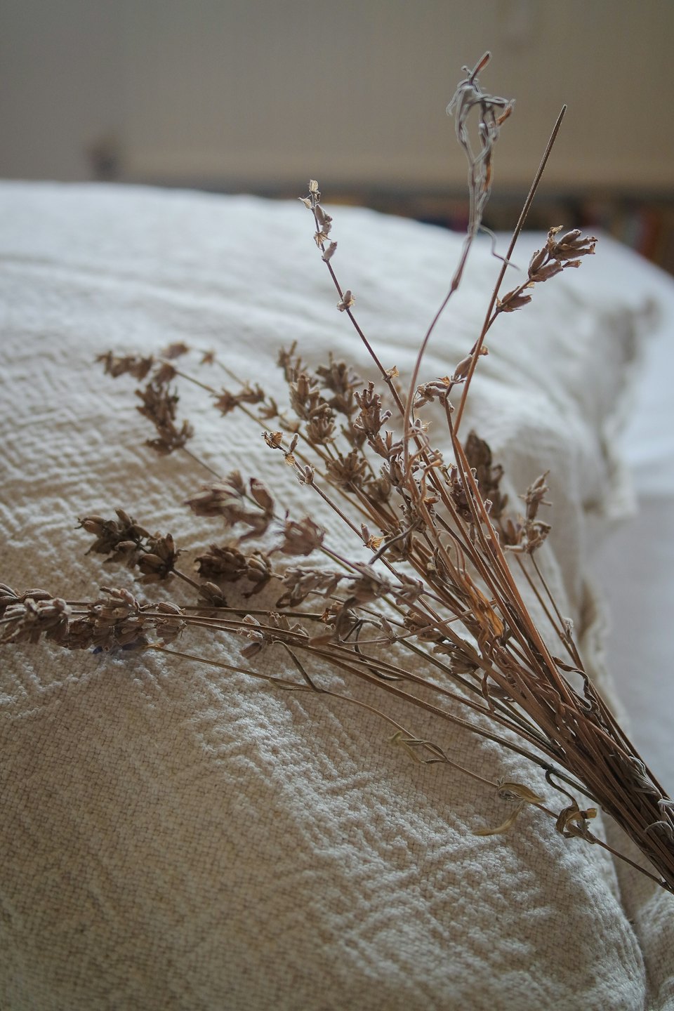 Bundle of dried lavender flowers on textured fabric.
