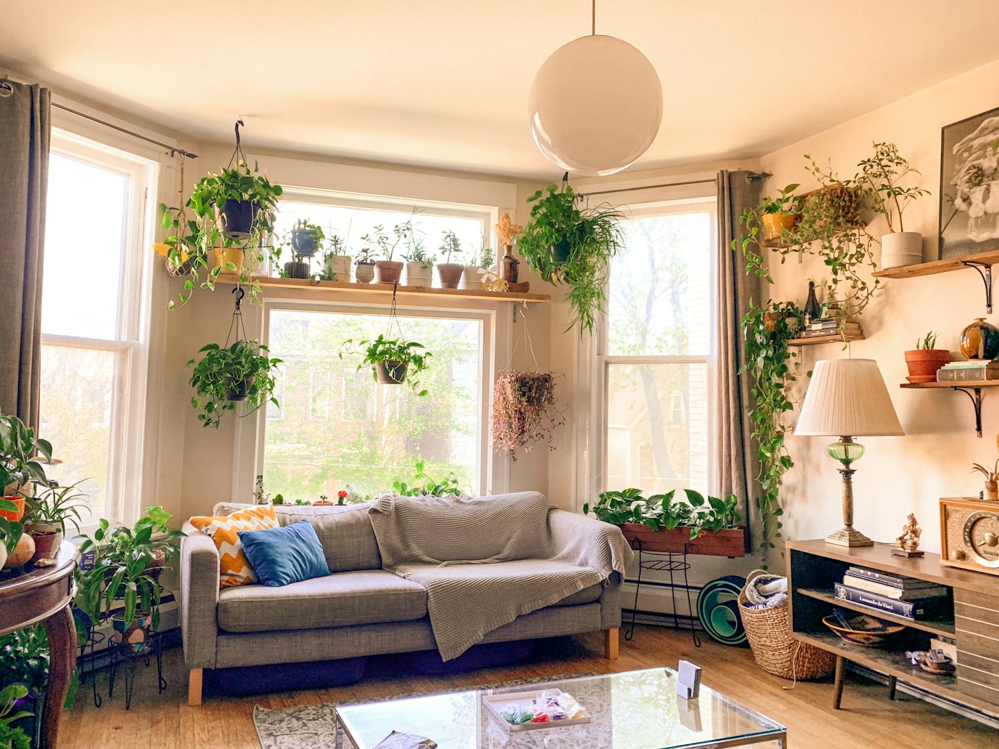 Cozy living room with abundant houseplants and comfortable seating.