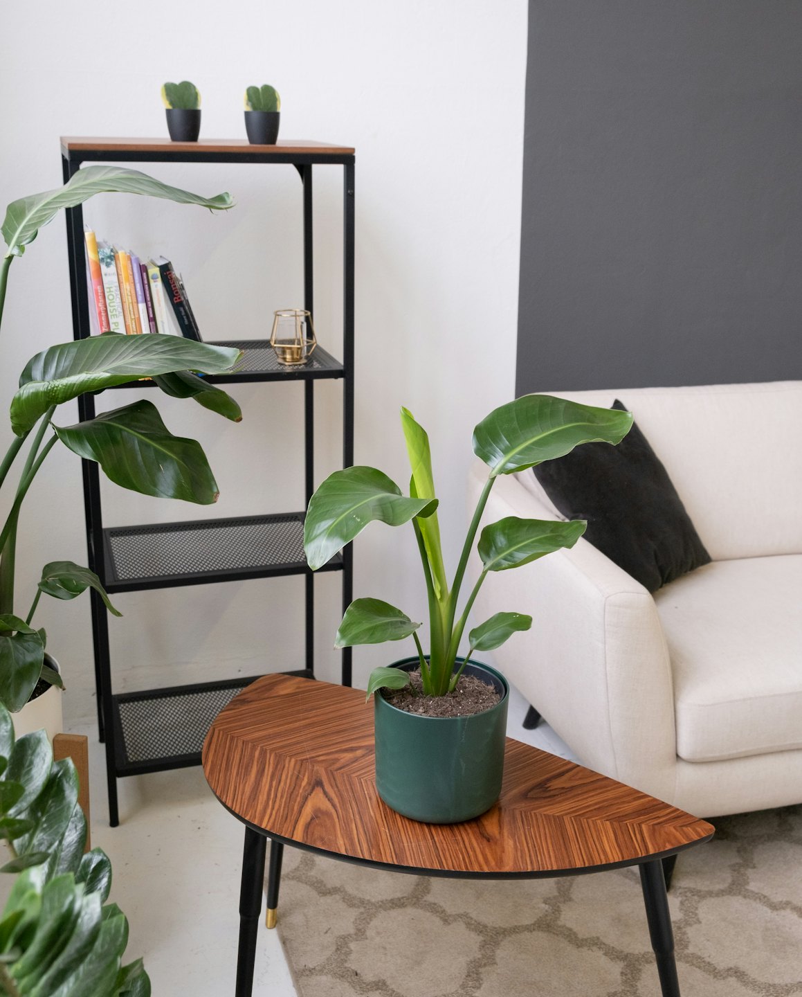 Minimalist living room with a bookshelf, armchair, and indoor plants.